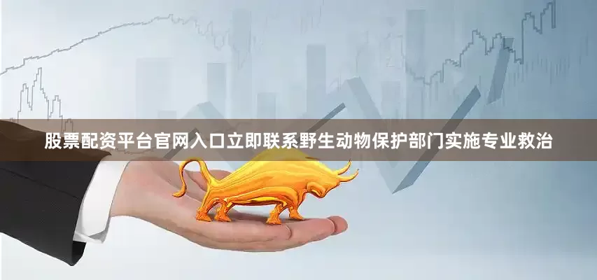 股票配资平台官网入口立即联系野生动物保护部门实施专业救治
