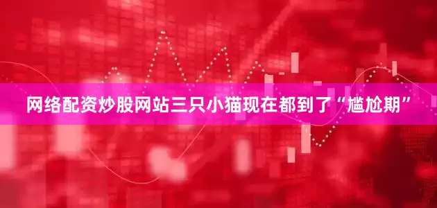 网络配资炒股网站三只小猫现在都到了“尴尬期”