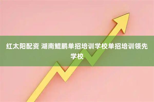 红太阳配资 湖南鲲鹏单招培训学校单招培训领先学校