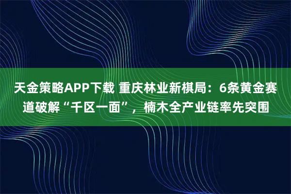 天金策略APP下载 重庆林业新棋局：6条黄金赛道破解“千区一面”，楠木全产业链率先突围