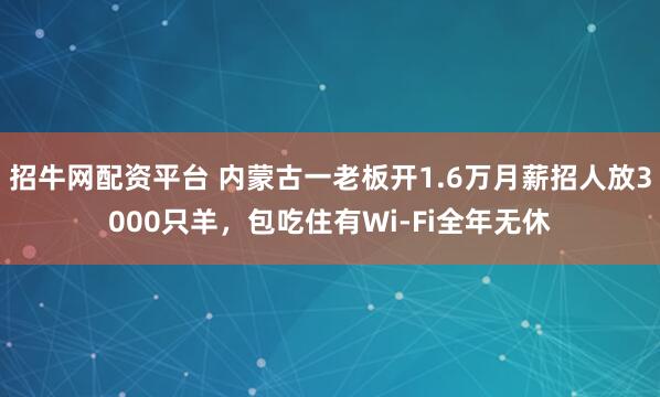 招牛网配资平台 内蒙古一老板开1.6万月薪招人放3000只羊，包吃住有Wi-Fi全年无休