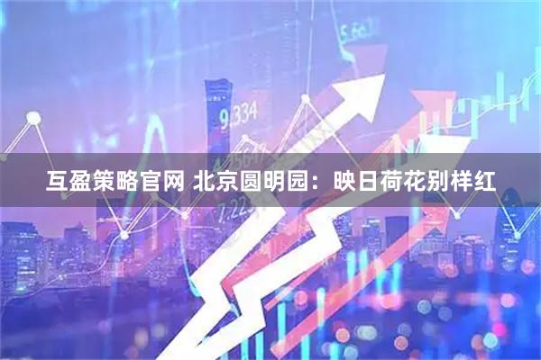 互盈策略官网 北京圆明园：映日荷花别样红